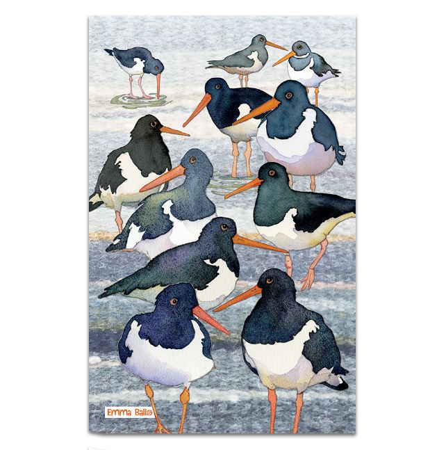 Emma Ball 'Oystercatcher' Tea Towel