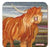 Emma Ball 'Highland Coo' Coaster